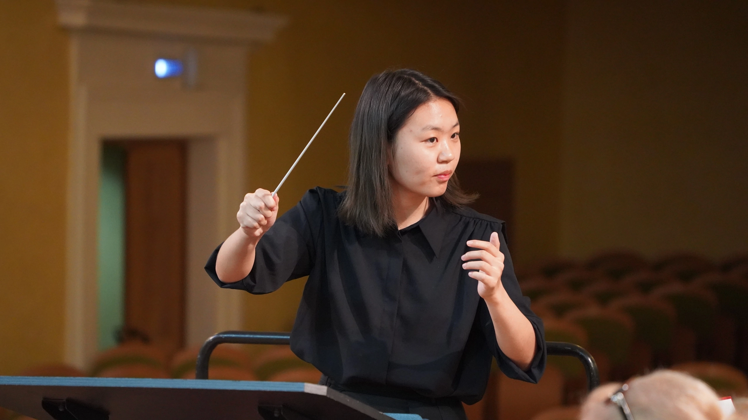 National Educational Project: Voice of Music — Academy of Young Conductors